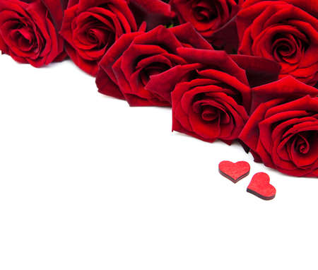 Fresh Red roses on a white backgroundの写真素材