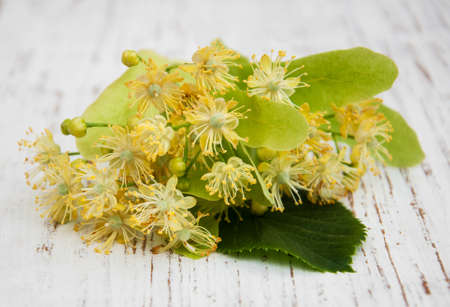 Linden flowers on a old wooden backgroundの写真素材