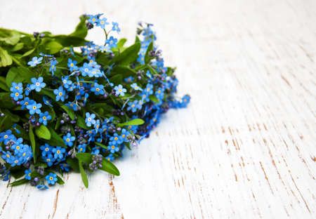 Forget me nots flowers on a wooden backgroundの写真素材