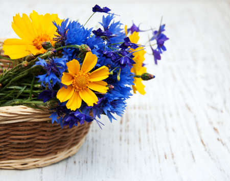 basket with blue cornflowers and cosmos flowers on a old white wooden backgroundの写真素材