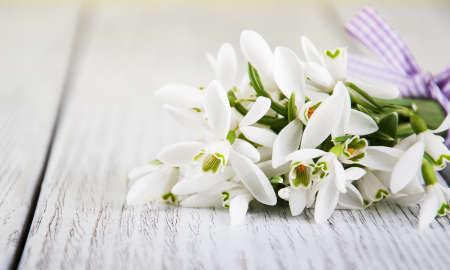 bouquet of snowdrops on a old wooden tableの写真素材