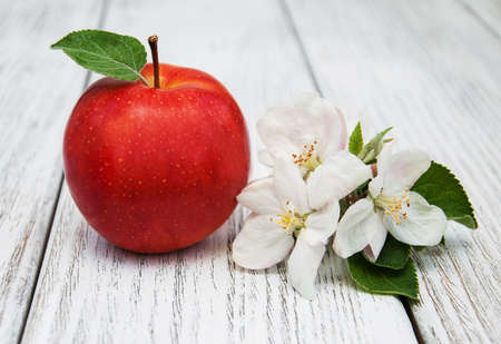apple and apple tree blossoms on a wooden backgroundの写真素材
