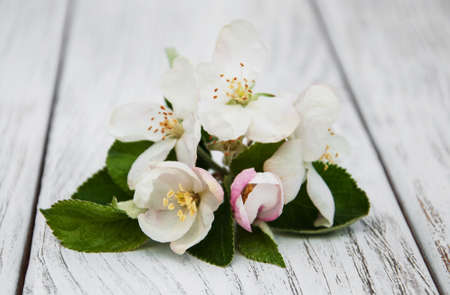 Spring apple blossom on a old wooden backgroundの写真素材