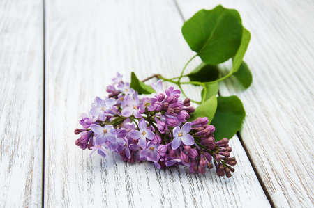 Lilac flowers on a old wooden backgroundの写真素材