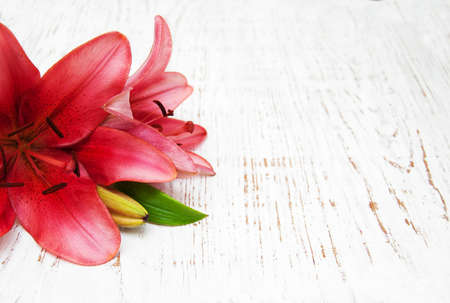 Pink lilies on a old wooden backgroundの写真素材