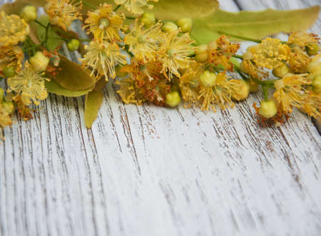 Linden flowers on a old wooden backgroundの写真素材