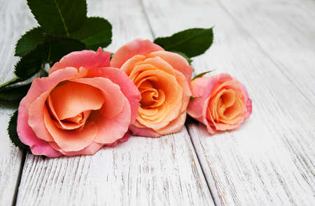 Three Pink roses on a old white wooden background