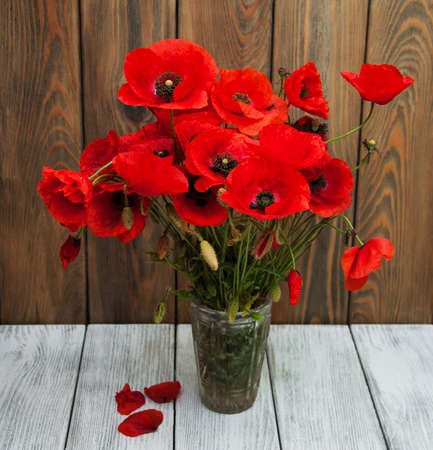 poppies in the vase against dark grunge backgroundの写真素材