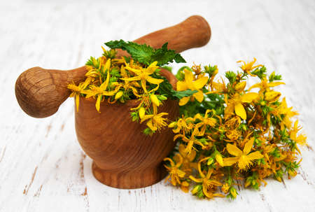 Tutsan flowers  and mortar on a wooden backgroundの写真素材