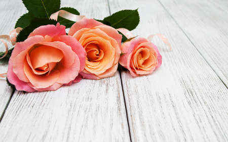 Three Pink roses on a old white wooden backgroundの写真素材