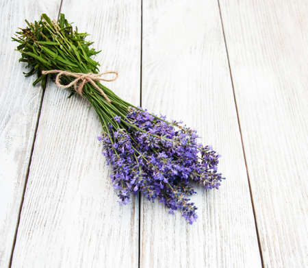 bunch of lavenderの写真素材