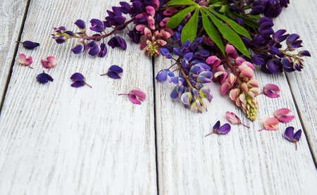 Lupine flowers on a old wooden tableの写真素材