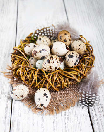 quail eggs in nest on a old wooden tableの写真素材