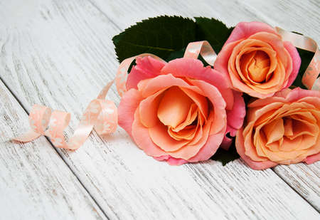 Three Pink roses on a old white wooden backgroundの写真素材