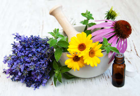 medical flowers in mortar on a wooden backgroundの写真素材