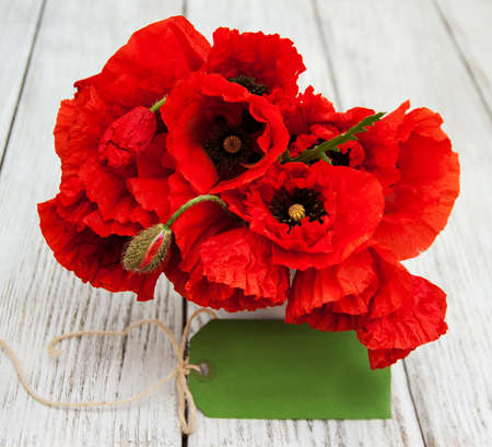 Red poppies in a vaseの写真素材