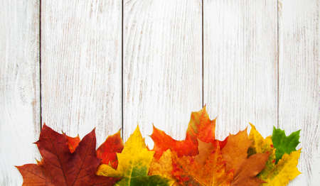 Colorfu autumn leaves  on a old wooden backgroundの写真素材