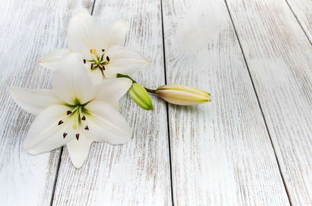White  lilies on a old wooden backgroundの写真素材