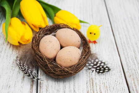 Easter eggs and tulips  on a old wooden backgroundの写真素材