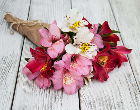 alstroemeria flowers on a old white wooden backgroundの写真素材