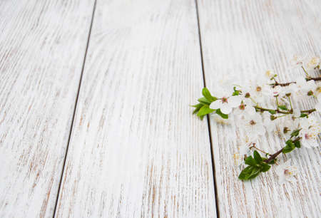 Spring cherry  blossom on a old wooden tableの写真素材