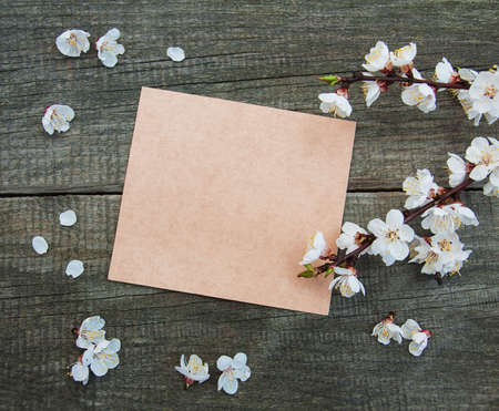 Spring apricot  blossom and card on a old wooden tableの写真素材