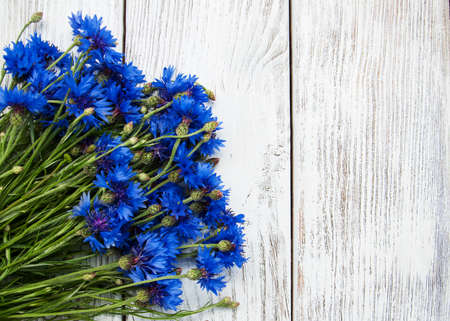 blue cornflowersの写真素材