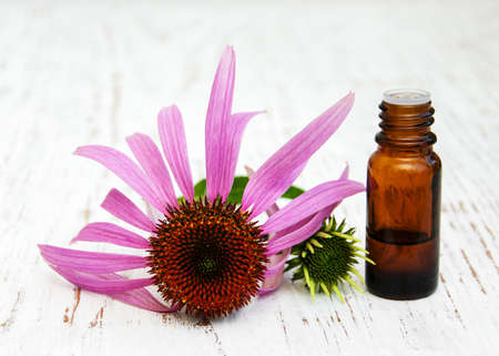 bottle with essence oil with purple echinacea on a wooden backgroundの写真素材