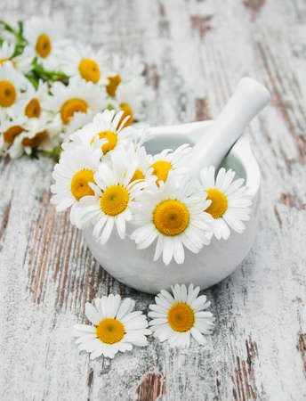 Mortar with camomile flowers on a wooden backgroundの写真素材