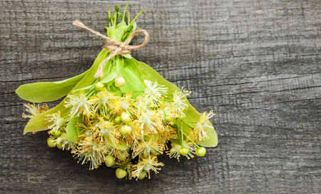 Linden flowers on the old wooden backgroundの写真素材