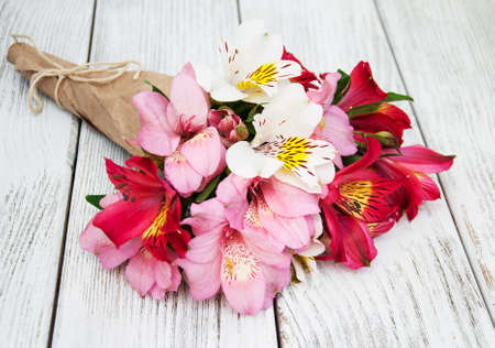 alstroemeria flowers on a old white wooden backgroundの写真素材