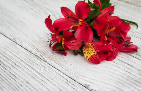 alstroemeria flowers on a old white wooden backgroundの写真素材