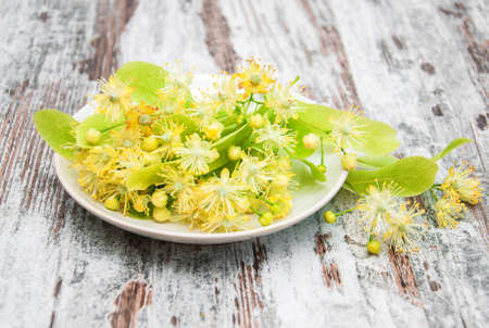 Plate  with linden flowers on a old wooden tableの写真素材
