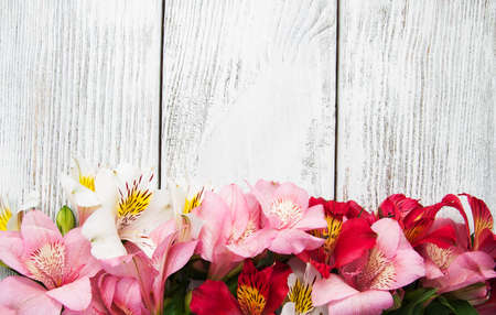 alstroemeria flowers on a old white wooden tableの写真素材