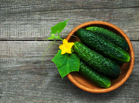Fresh cucumbers on a old wooden backgroundの写真素材