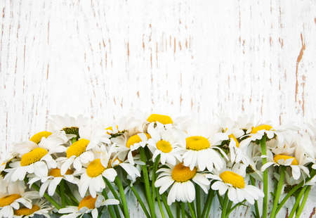 bouquet of daisies  on a old wooden backgroundの写真素材