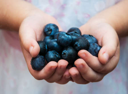 children's hands with fresh blueberriesの写真素材