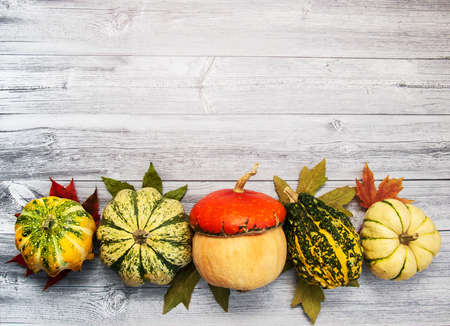 Pumpkins with autumn leaves on a old wooden tableの写真素材
