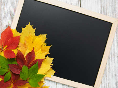 Frame made of fall colorful leaves on dark backgroundの写真素材