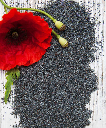 Poppy seeds and poppy flowers on a wooden backgroundの写真素材