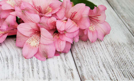 alstroemeria flowers on a old white wooden backgroundの写真素材