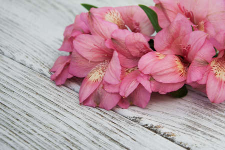 alstroemeria flowers on a old white wooden backgroundの写真素材