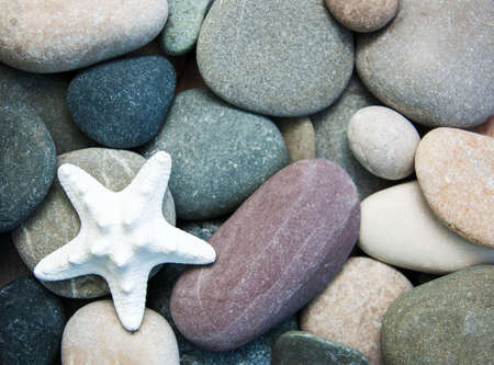 Sea pebble stones and starfish as a natural backgroundの写真素材