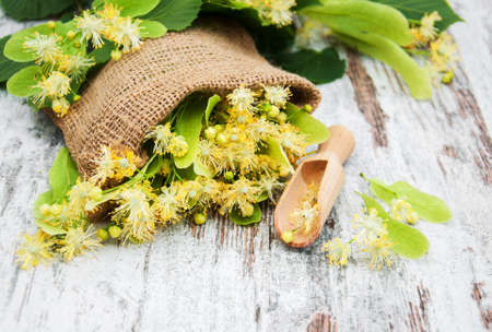 Linden flowers on a old wooden backgroundの写真素材