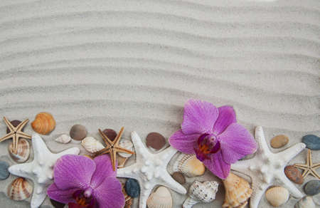 Summer background seashells and starfish border on sandの写真素材