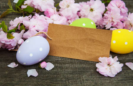Easter eggs, spring sakura blossom and greeting cardの写真素材