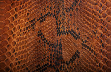 Brown snake skin pattern - natural background