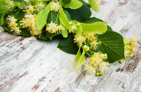 Linden flowers on a old wooden backgroundの写真素材