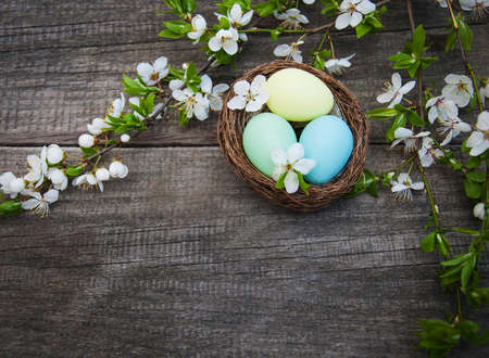 Easter eggs and spring  blossom on a old wooden background