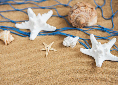Fishing net with starfish on a natural sand backgroundの写真素材